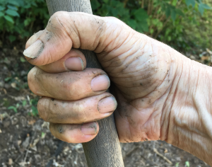 With Dirt Under Her Fingernails